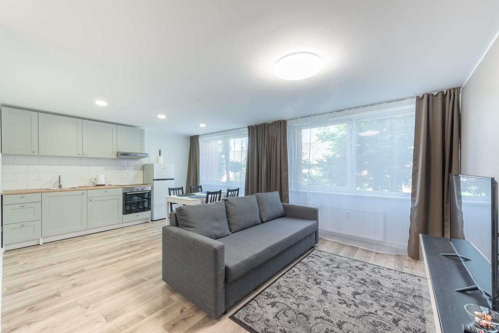 Stiklo Apartamentai Radziwiliszki Εξωτερικό φωτογραφία